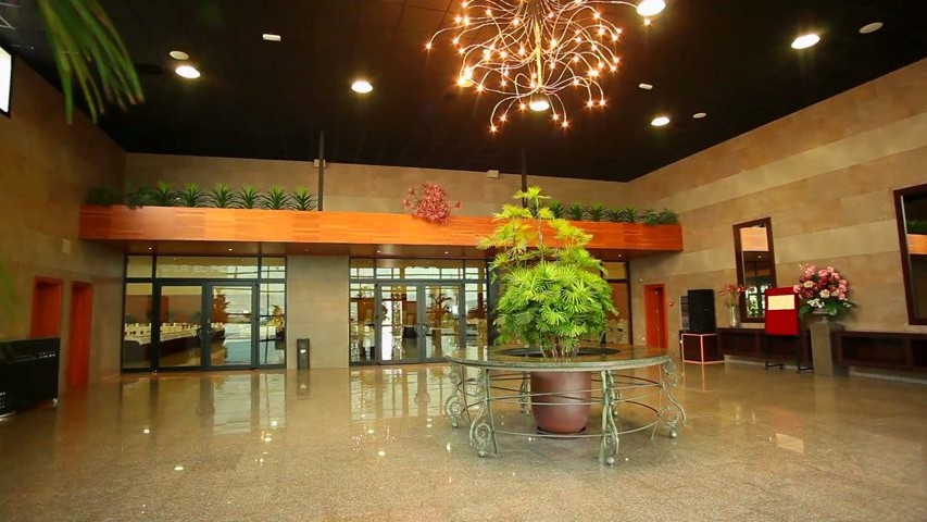 8422t30 pio xii v4 mp4