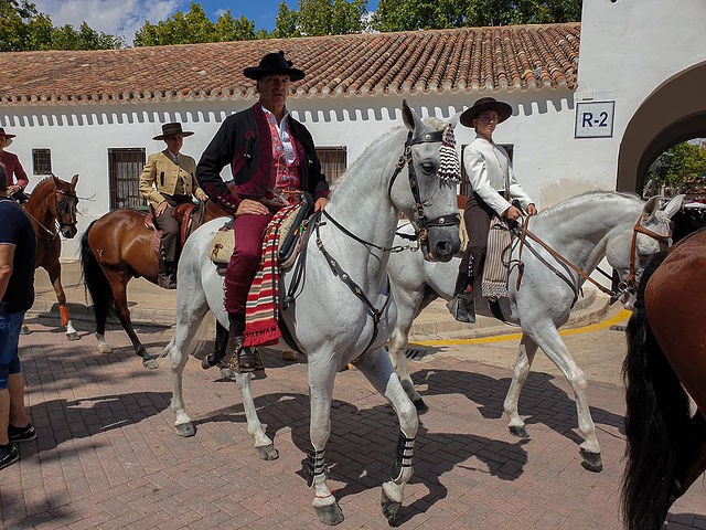 albacete1 0