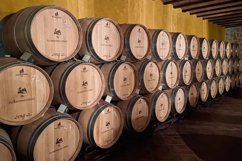 bodega1 0