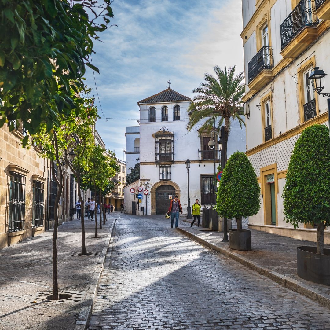 cadiz3 0