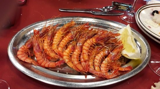 gamba0000